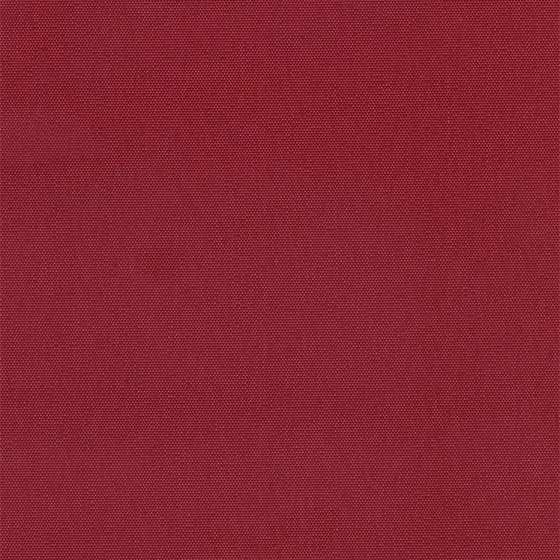 CARINA 308