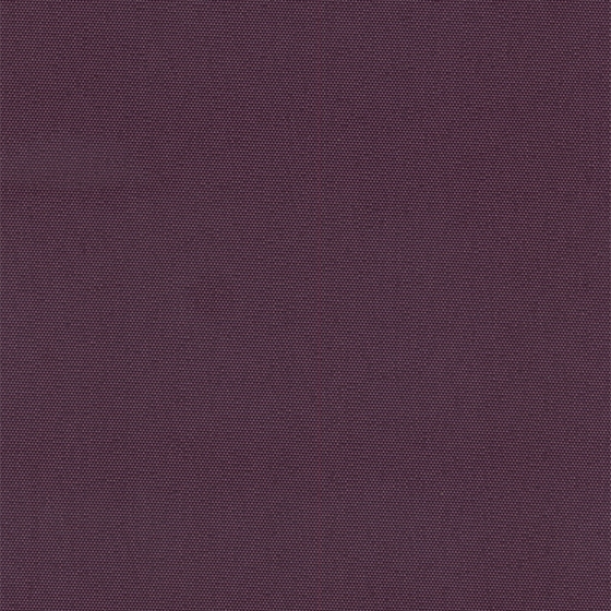 CARINA 323