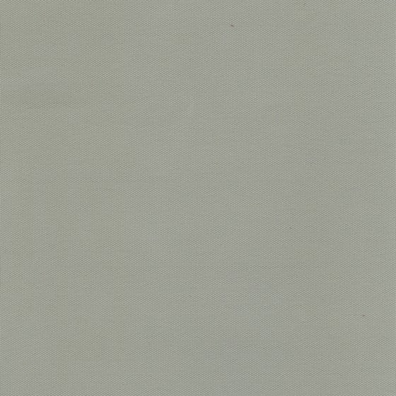 CARINA 324